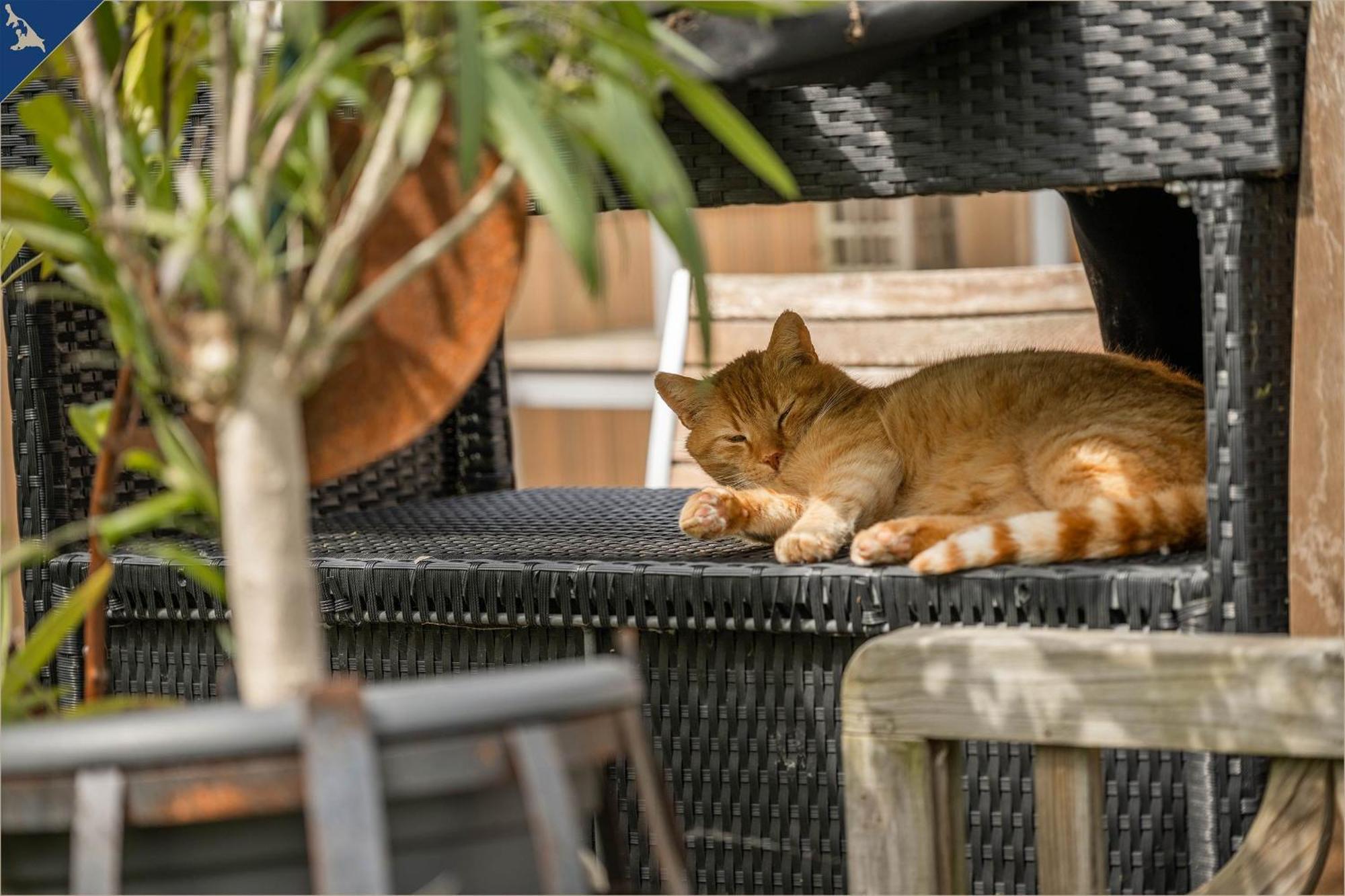 Ferienresort Moewenort Luetow Bungalow 1 Lutow Εξωτερικό φωτογραφία